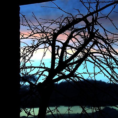 Podere Di Belforte Bagno a Ripoli Exterior foto