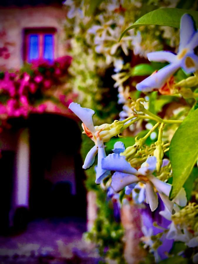 Podere Di Belforte Bagno a Ripoli Exterior foto