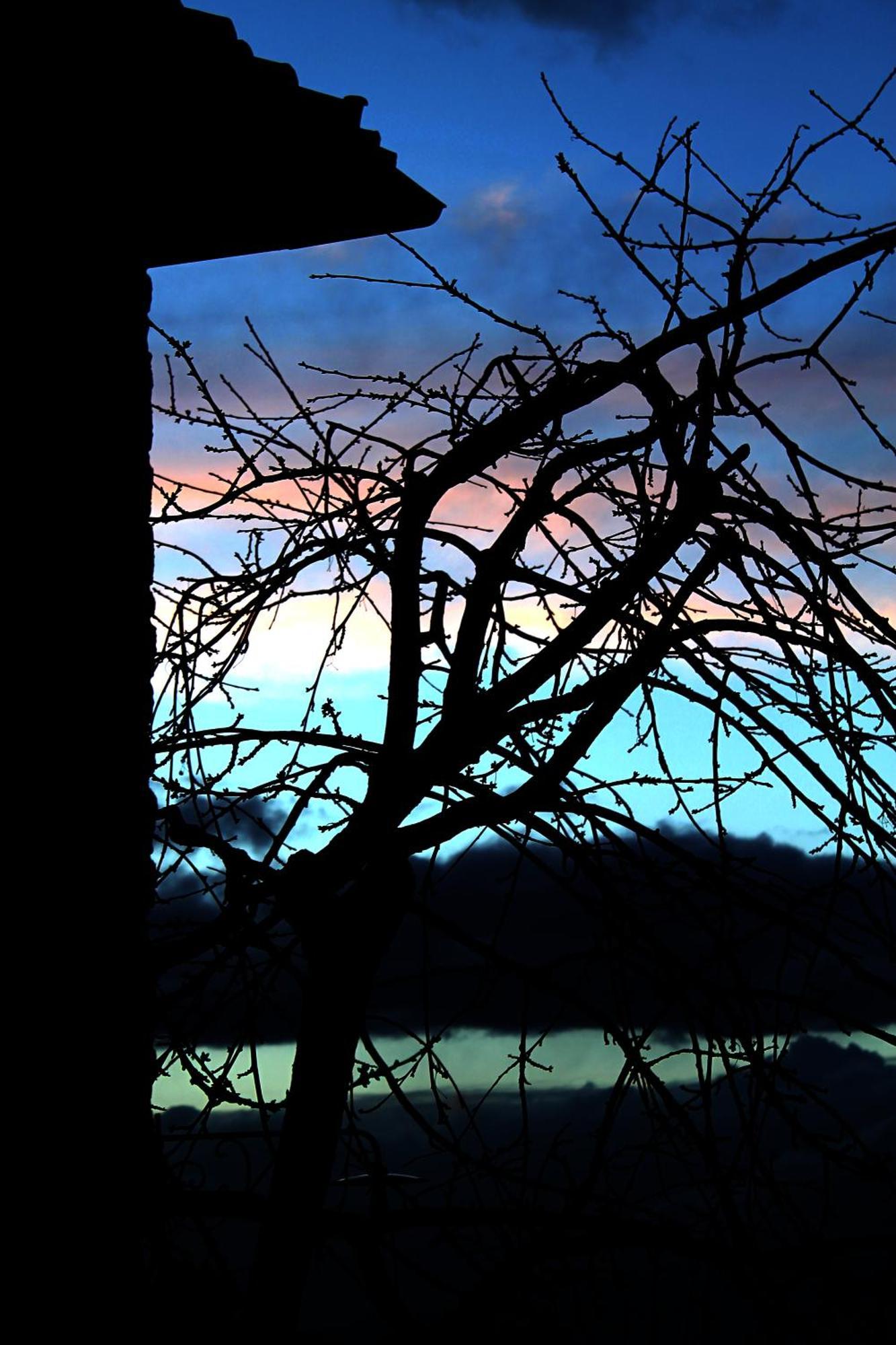 Podere Di Belforte Bagno a Ripoli Exterior foto